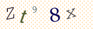 CAPTCHA code